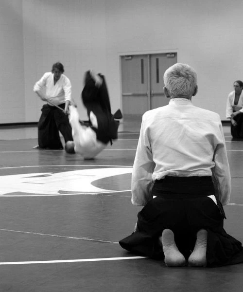 Aikido School