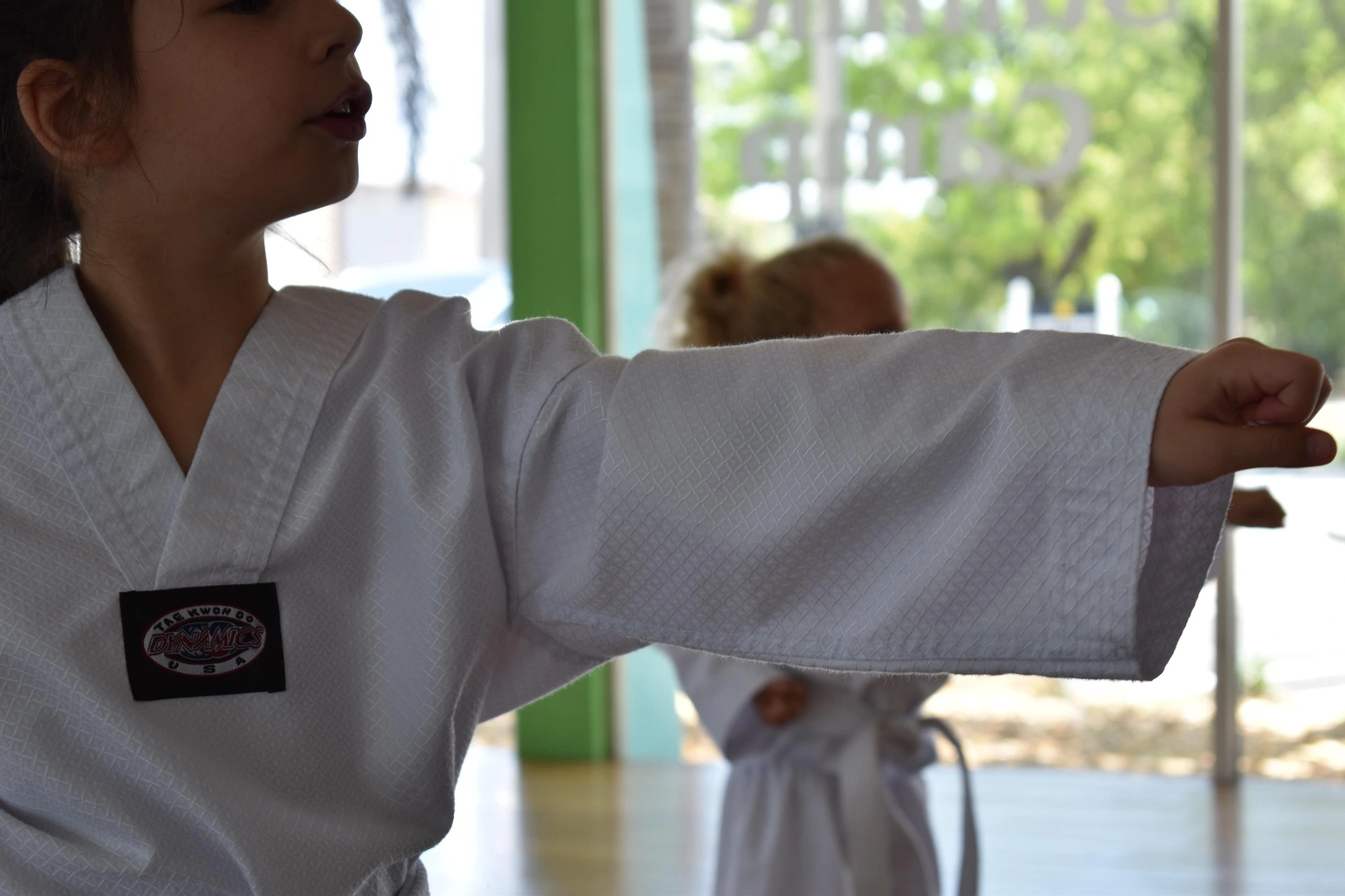 Taekwondo Athlete