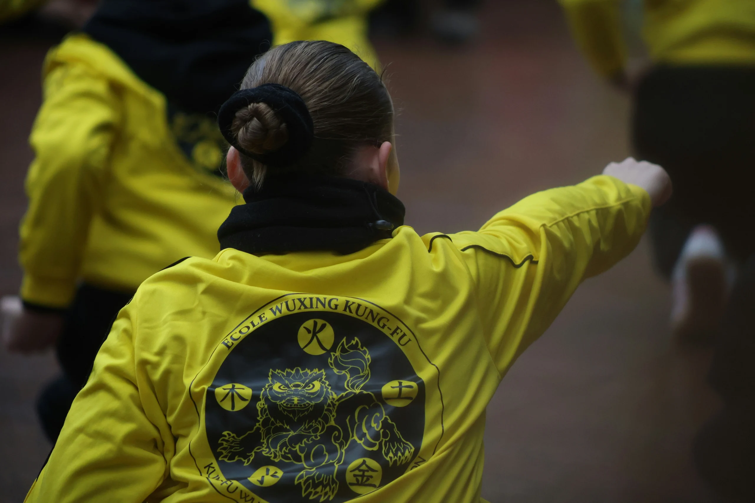 Kung Fu School